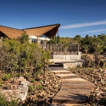 Lalibela Game Reserve - Kichaka Lodge Paterson Exteriér fotografie