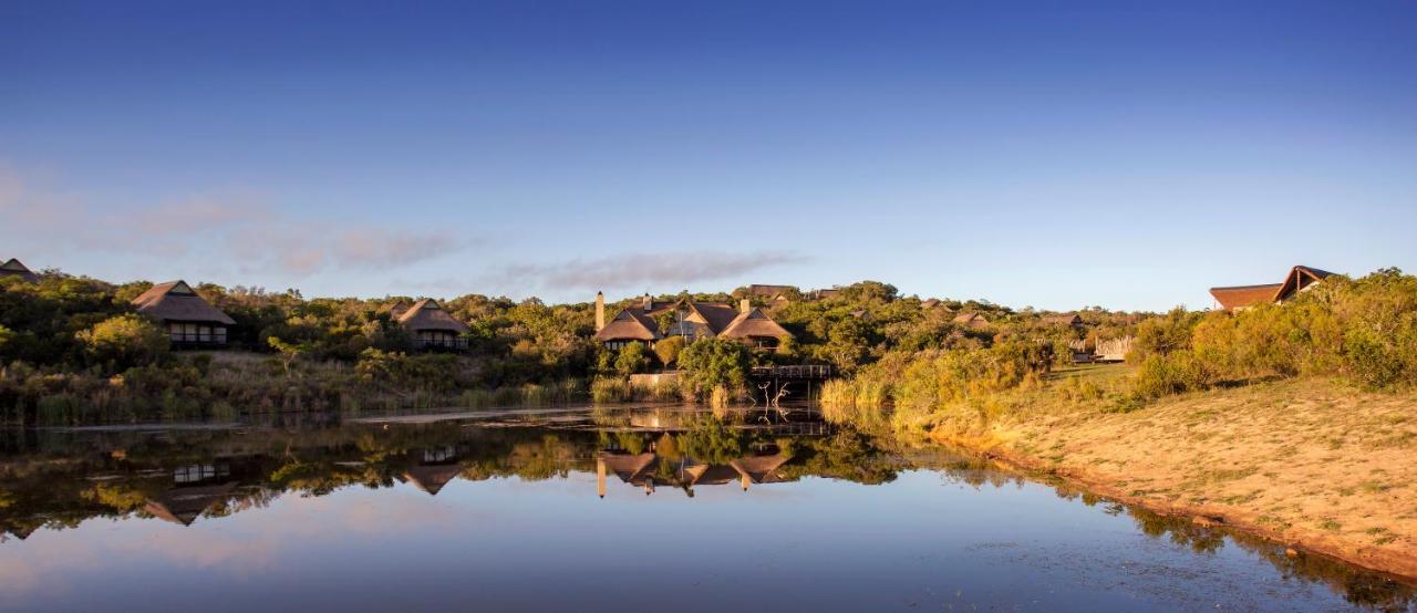 Lalibela Game Reserve - Kichaka Lodge Paterson Exteriér fotografie