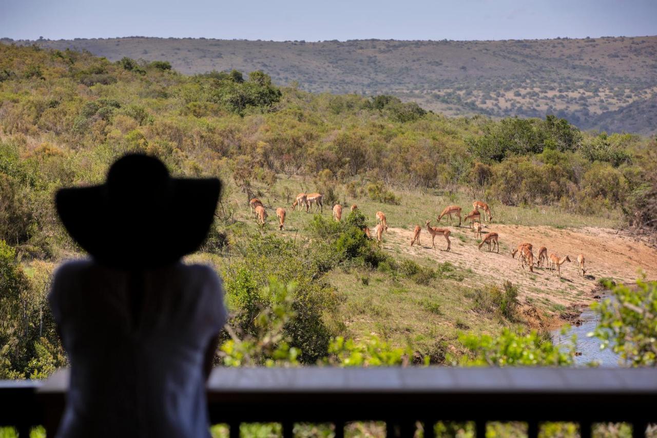 Lalibela Game Reserve - Kichaka Lodge Paterson Exteriér fotografie