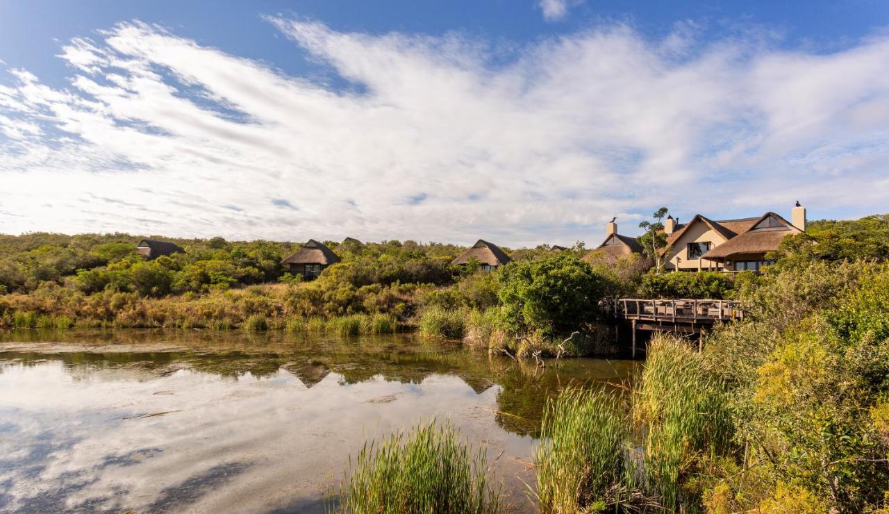 Lalibela Game Reserve - Kichaka Lodge Paterson Exteriér fotografie
