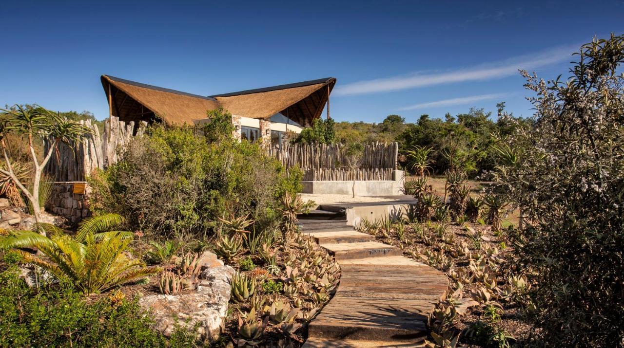 Lalibela Game Reserve - Kichaka Lodge Paterson Exteriér fotografie